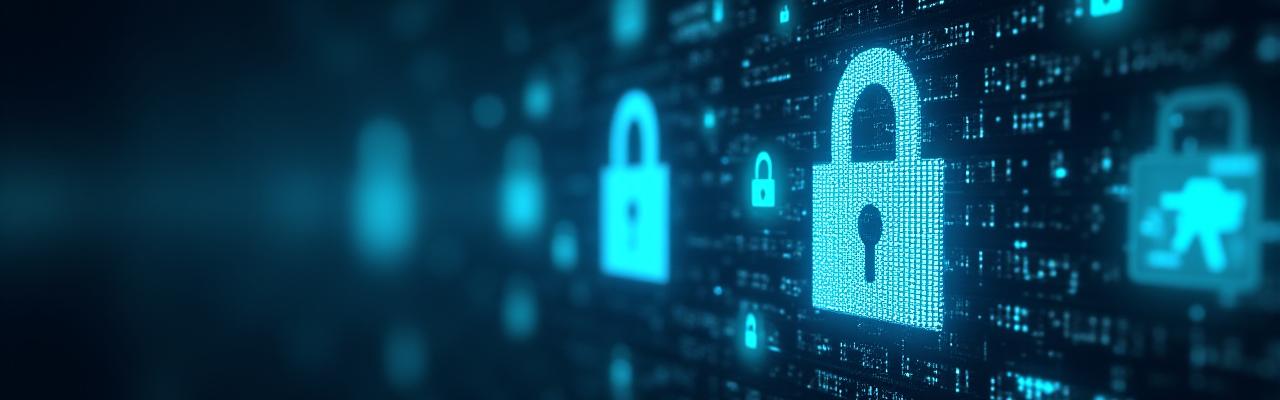 Data security and privacy visual